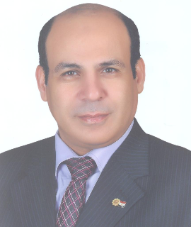 Speaker at Oil, Gas and Petroleum Engineering 2022 - Elsayed Ahmed Elnashar