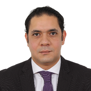 Speaker at Petroleum Conferences - Mohamed Zaki Kamal Hafez