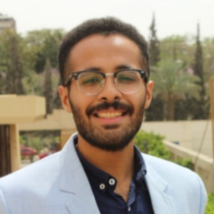 Speaker at Oil, Gas and Petroleum Engineering 2023 - Mostafa Ahmed Sobhy
