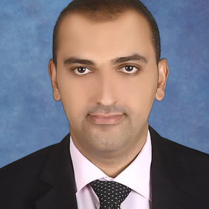 Speaker at Oil and Gas Conferences - Ramy Mohamed Fahmy